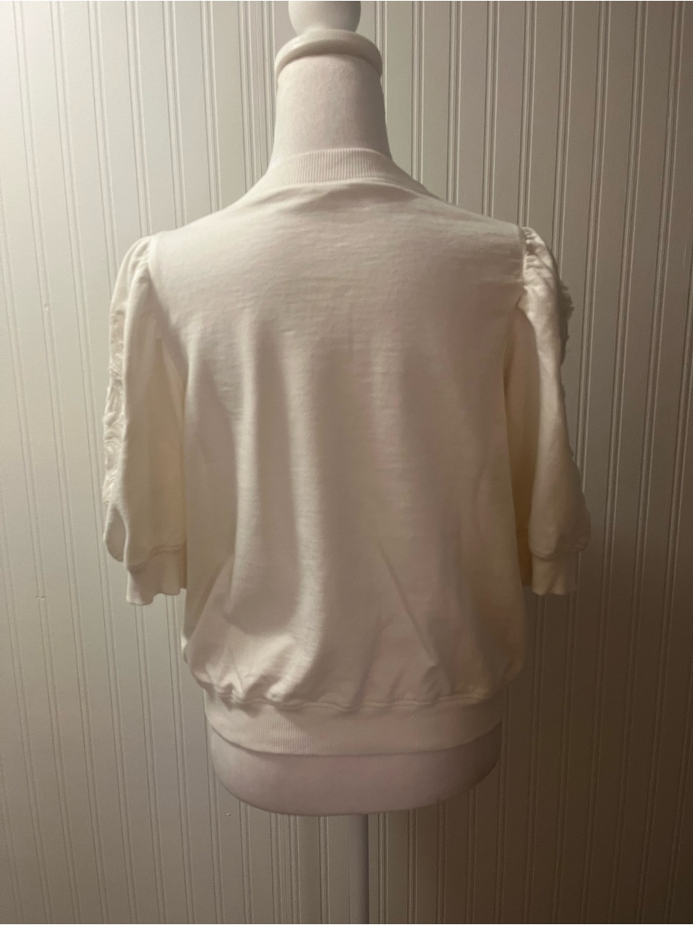 Anthropologie Cream Embroidered Puff-Sleeve Sweatshirt - Picture 4 of 7